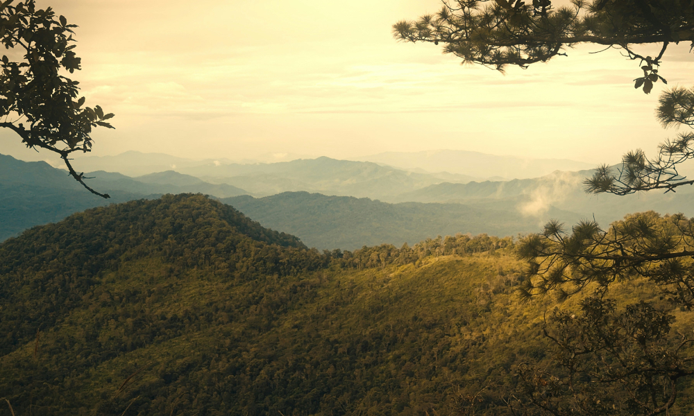 Unafraid to Share, Joy Goes to SE Asia